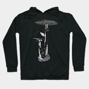 Destroying Angel mushroom Hoodie